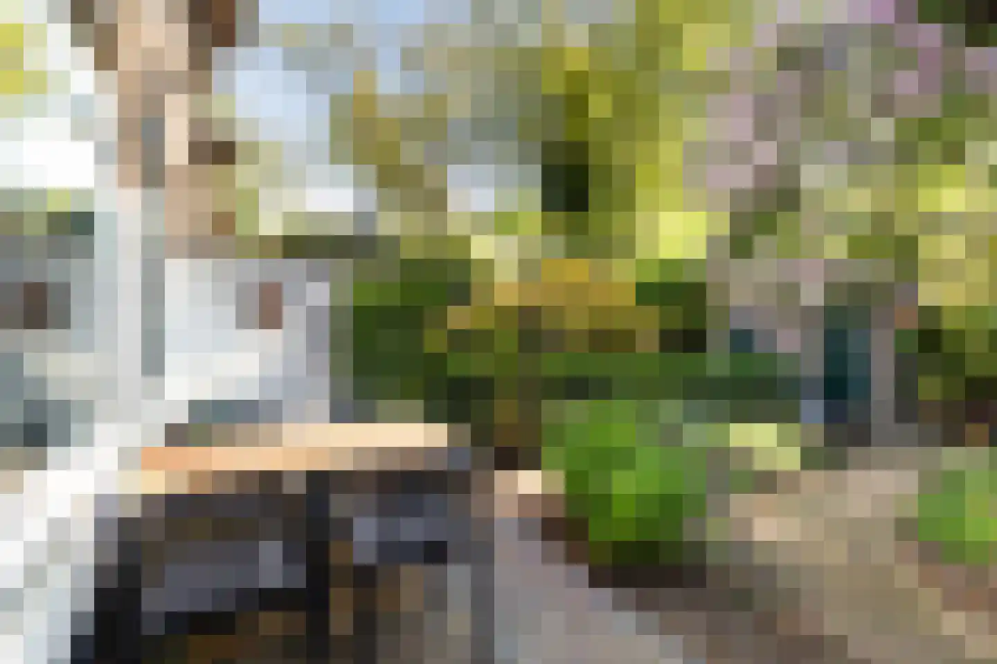 Hovendaal 20 Rotterdam thumbnail 24