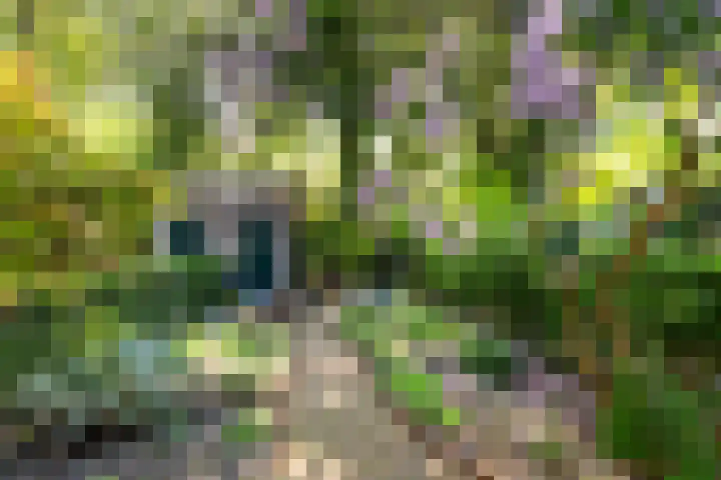 Hovendaal 20 Rotterdam thumbnail 25