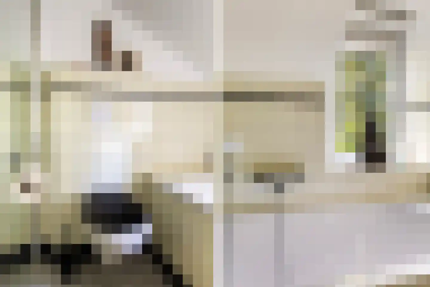 Hovendaal 20 Rotterdam thumbnail 47