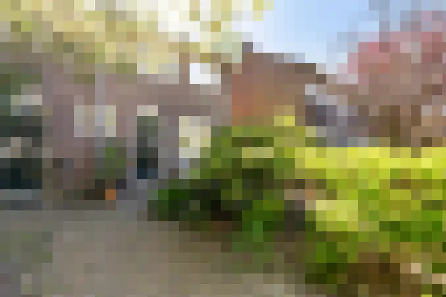 Hovendaal 20 Rotterdam thumbnail 56