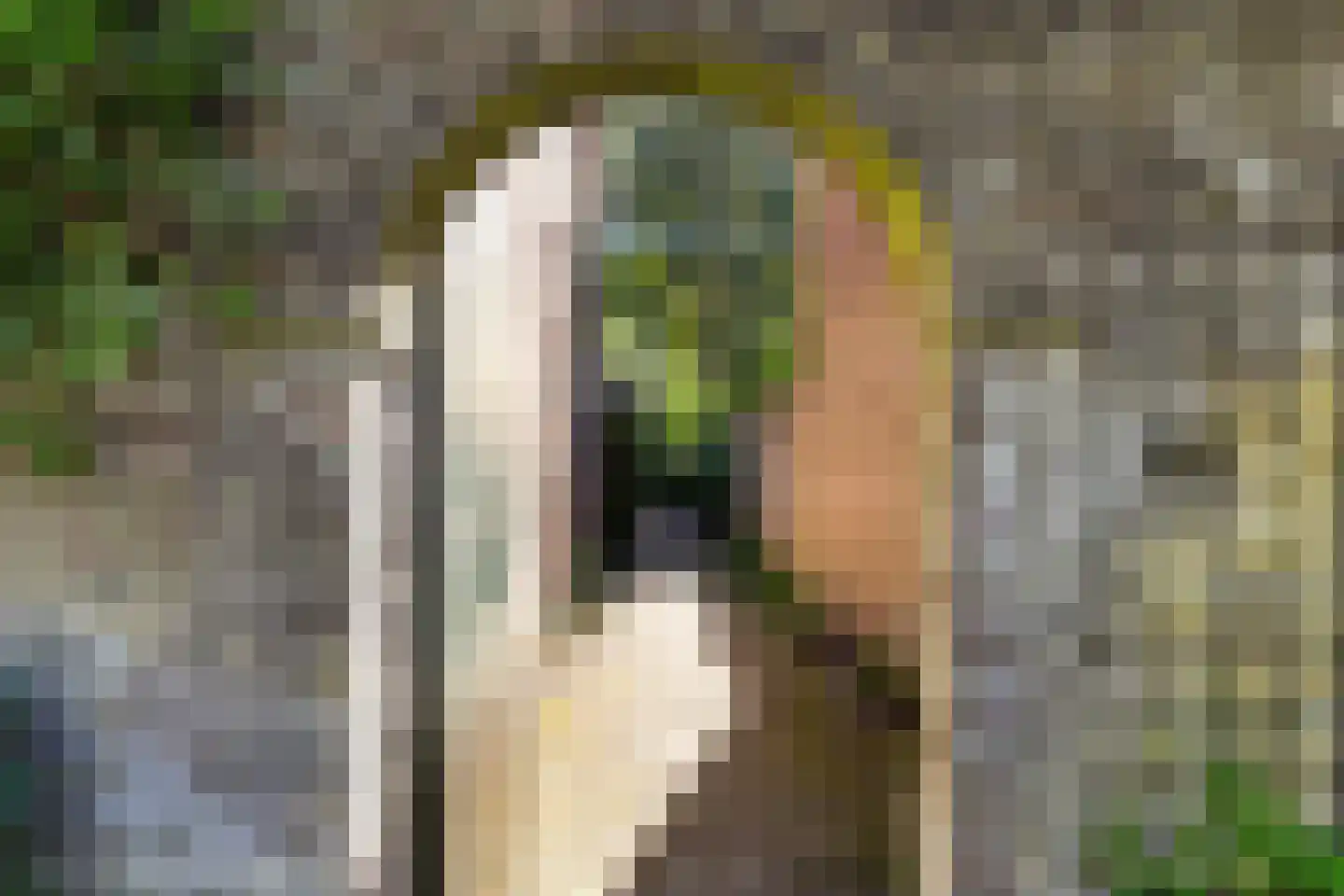 Hovendaal 20 Rotterdam thumbnail 57