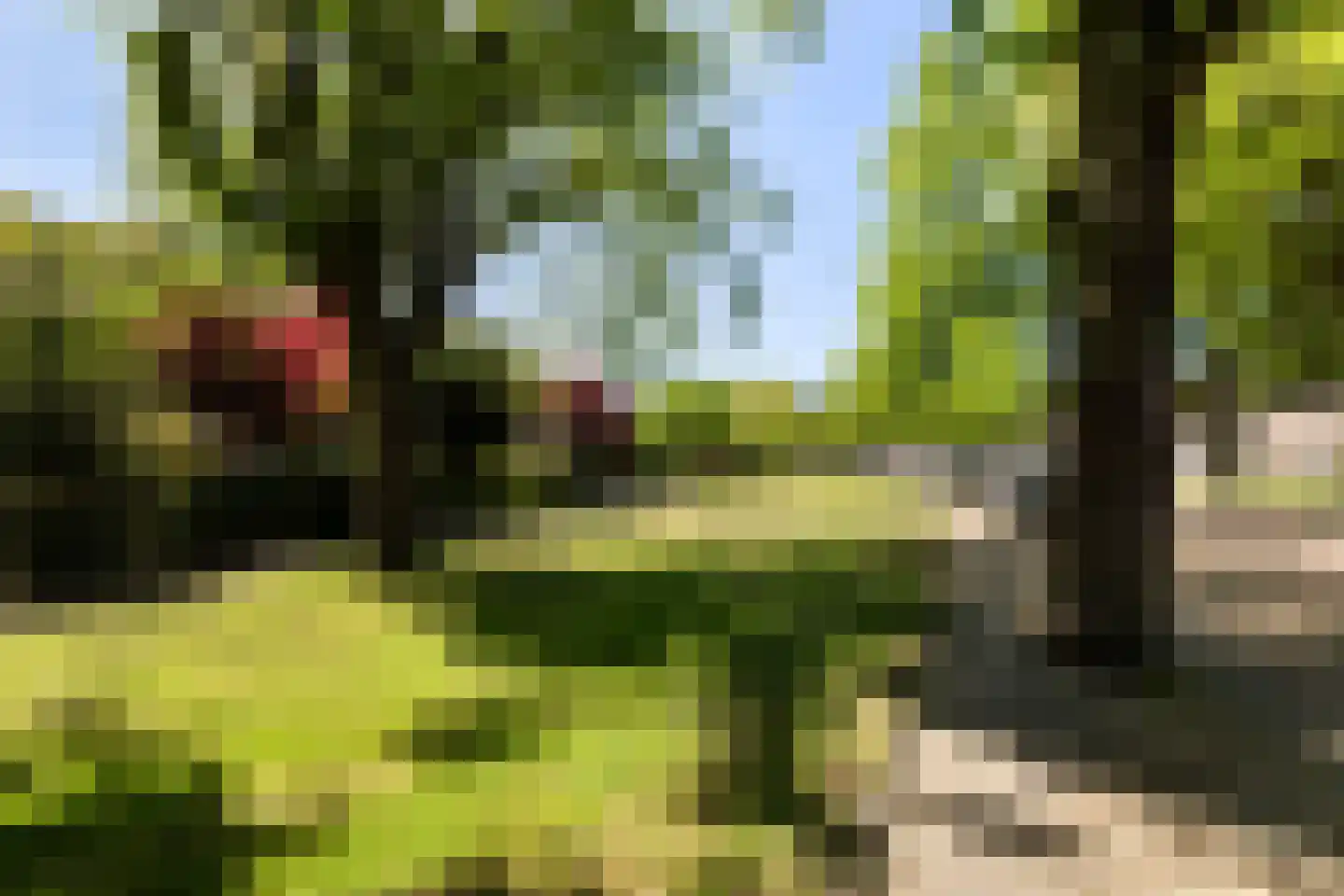 Hovendaal 20 Rotterdam thumbnail 58