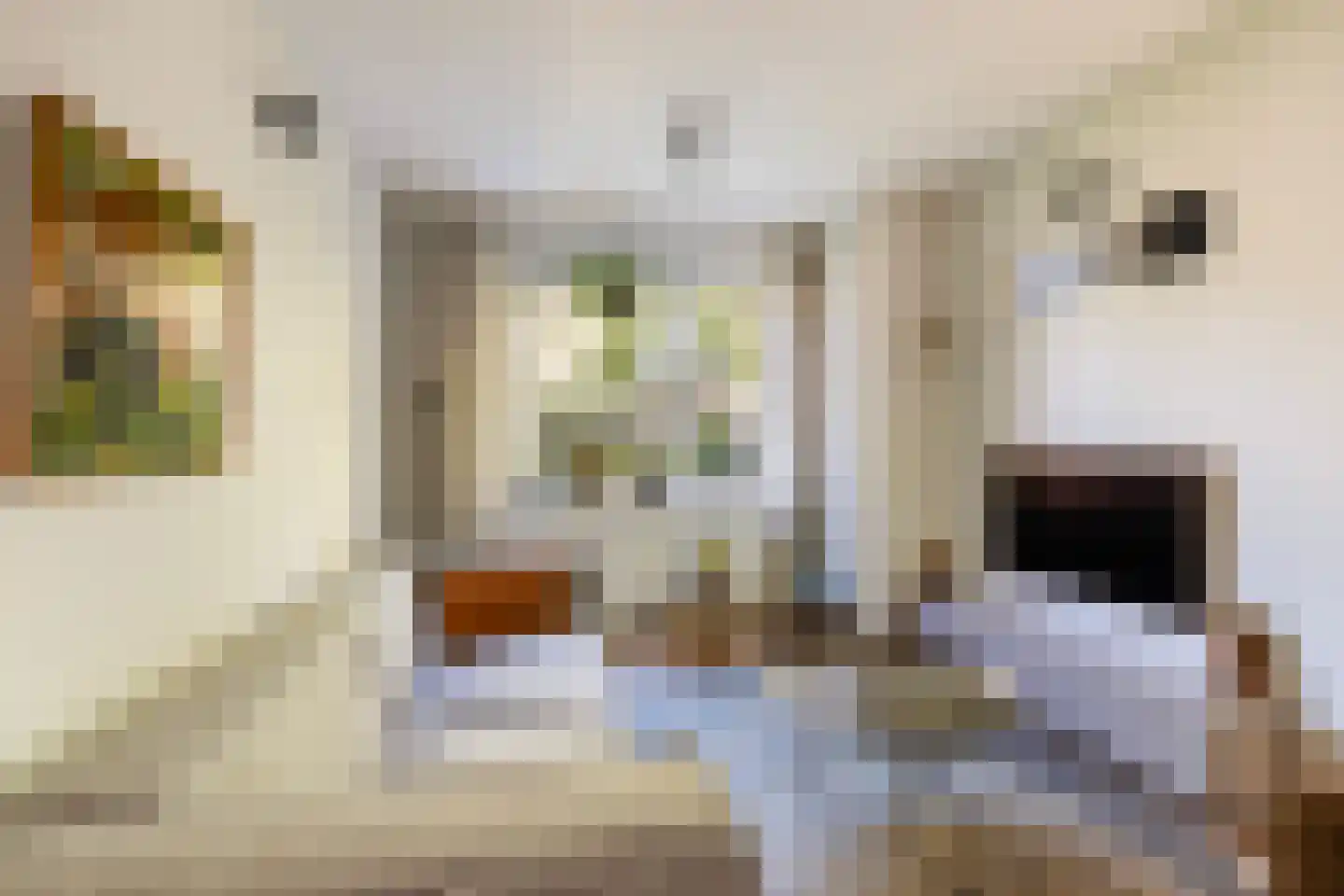 Hovendaal 20 Rotterdam thumbnail 7