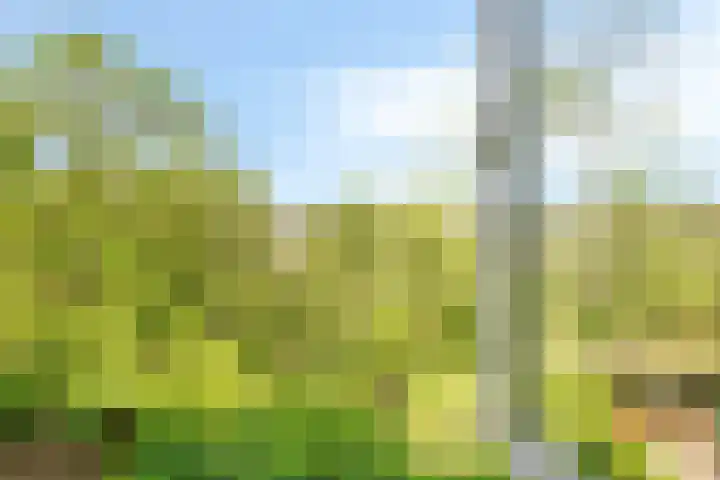 Hovendaal 37 Rotterdam thumbnail 19