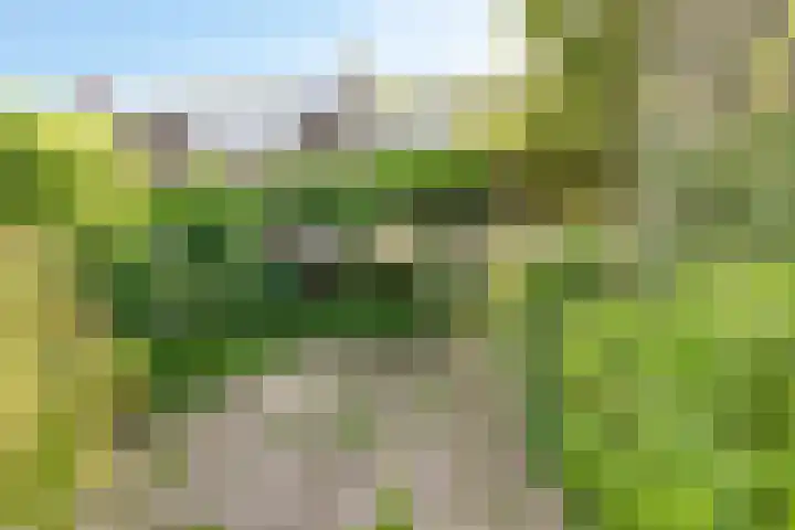 Hovendaal 37 Rotterdam thumbnail 22