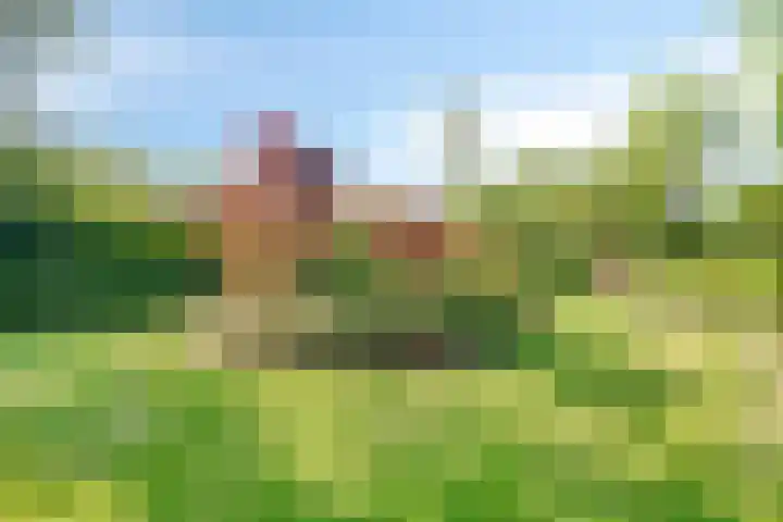 Hovendaal 37 Rotterdam thumbnail 23
