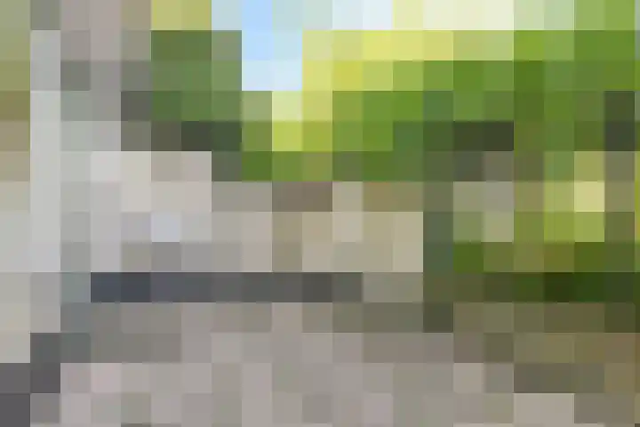 Hovendaal 37 Rotterdam thumbnail 24