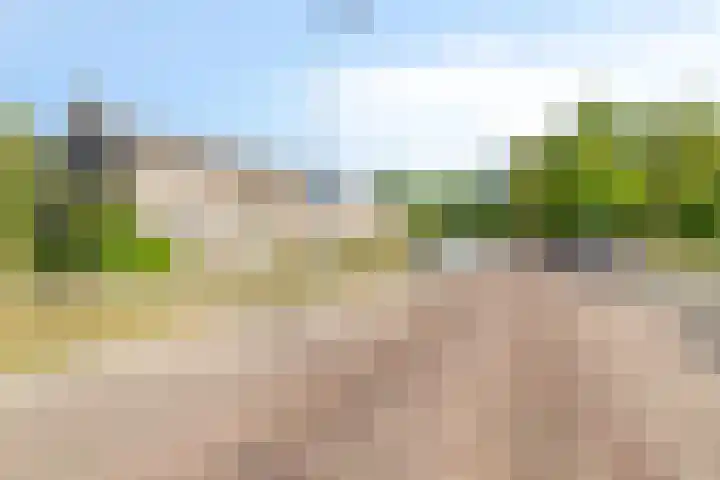 Hovendaal 37 Rotterdam thumbnail 25