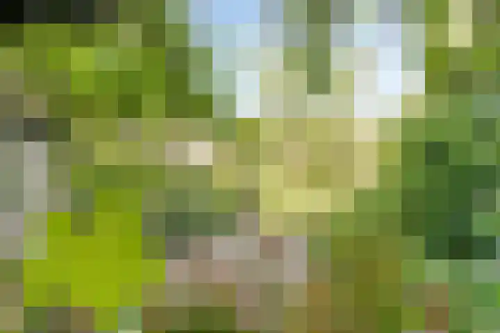 Hovendaal 37 Rotterdam thumbnail 5