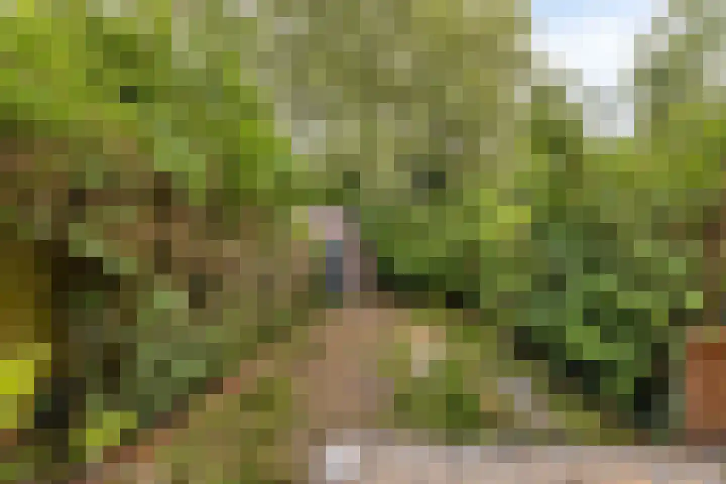 Hovendaal 42 Rotterdam thumbnail 16