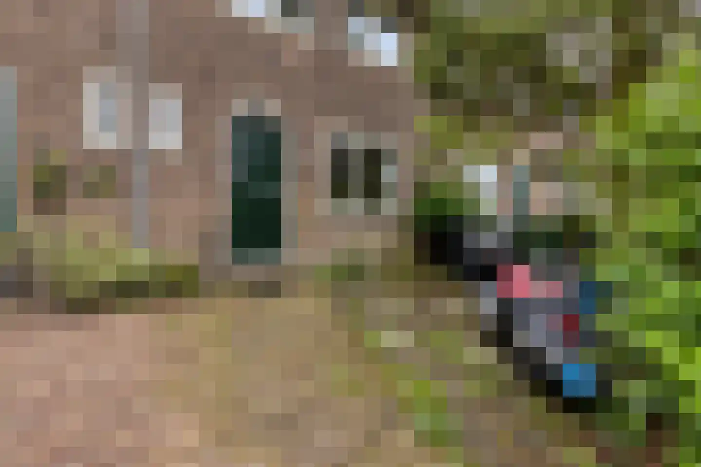 Hovendaal 42 Rotterdam thumbnail 7