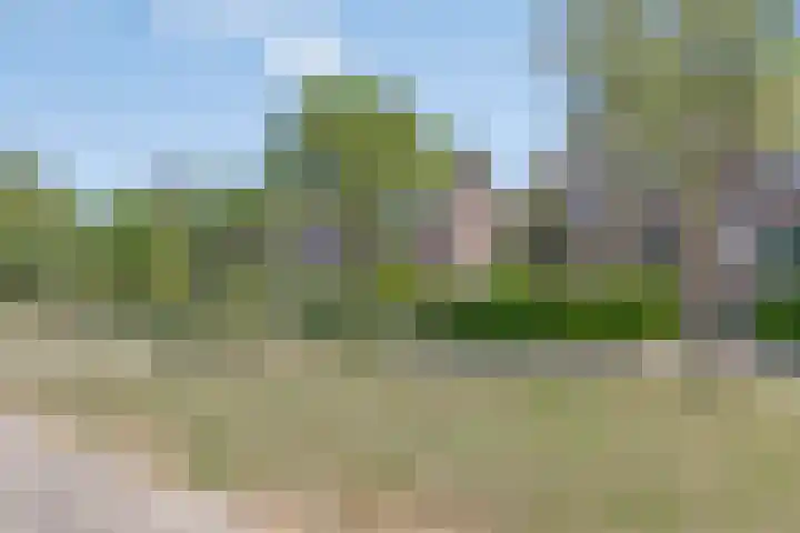 Hovendaal 54 Rotterdam thumbnail 25