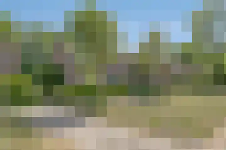 Hovendaal 54 Rotterdam thumbnail 26