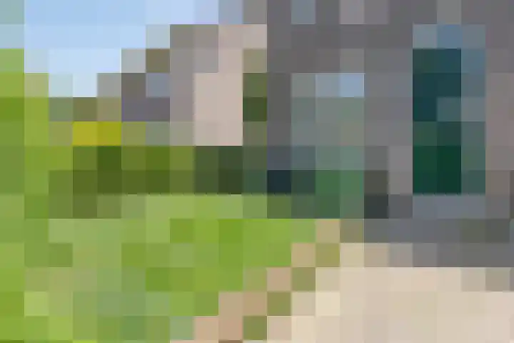 Hovendaal 54 Rotterdam thumbnail 27