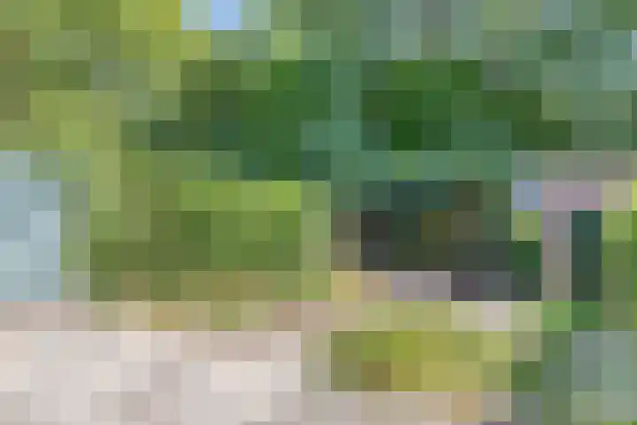Hovendaal 54 Rotterdam thumbnail 5