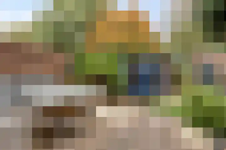 Hovendaal 62 Rotterdam thumbnail 22