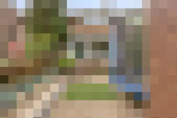 Hovendaal 62 Rotterdam thumbnail 25