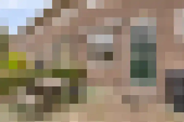 Hovendaal 62 Rotterdam thumbnail 4