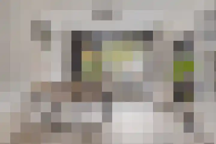 Hovendaal 62 Rotterdam thumbnail 8