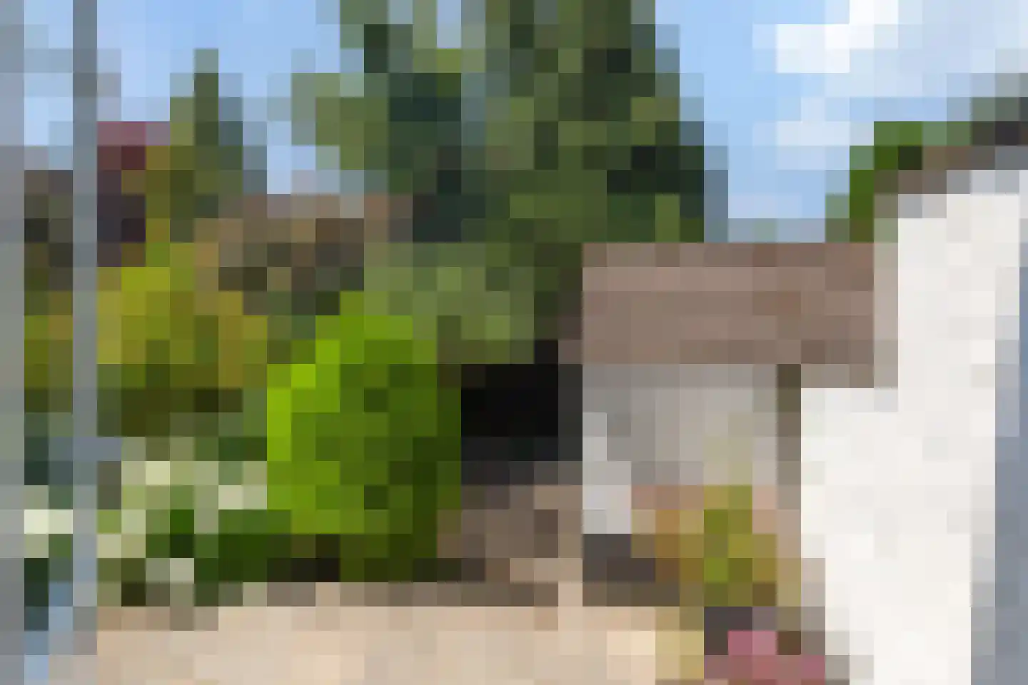 Hovendaal 65 Rotterdam thumbnail 14