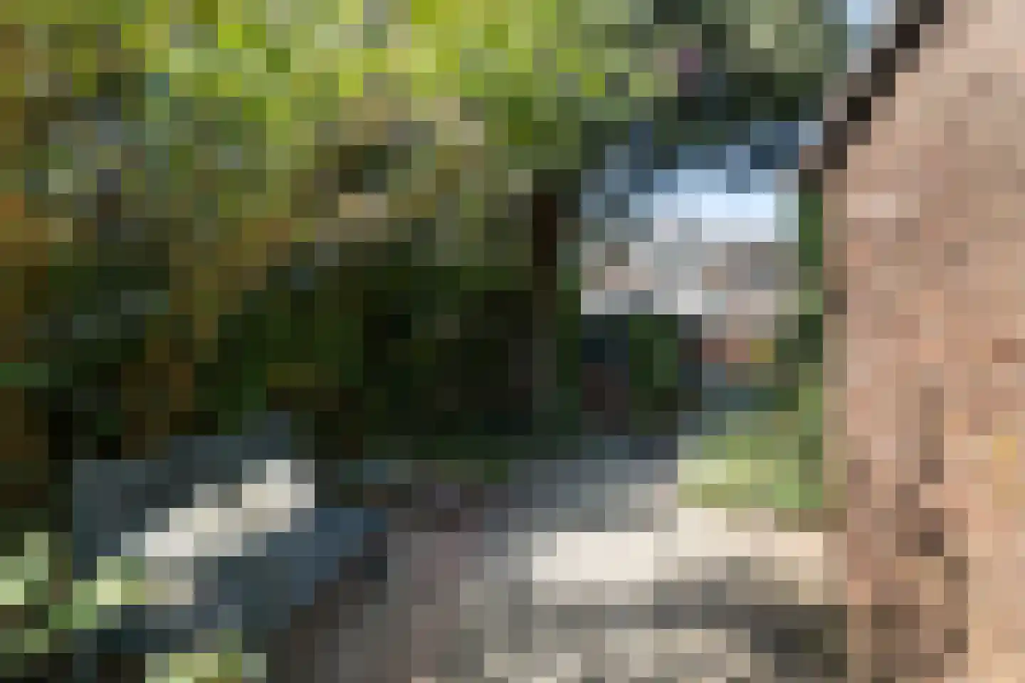 Hovendaal 65 Rotterdam thumbnail 17