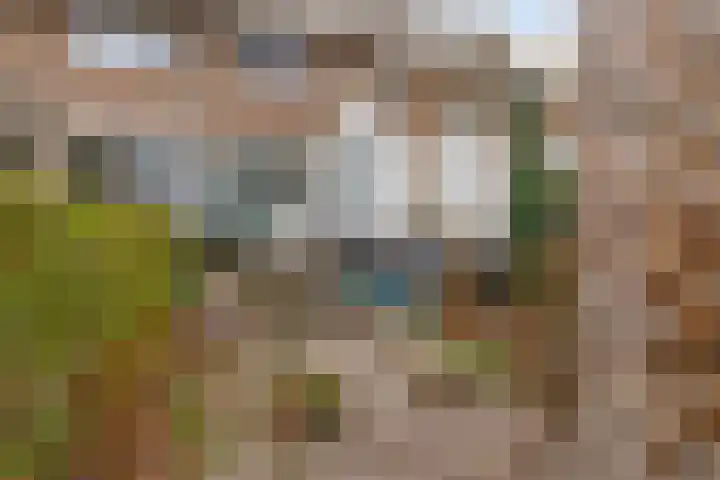 Hovendaal 86 Rotterdam thumbnail 17