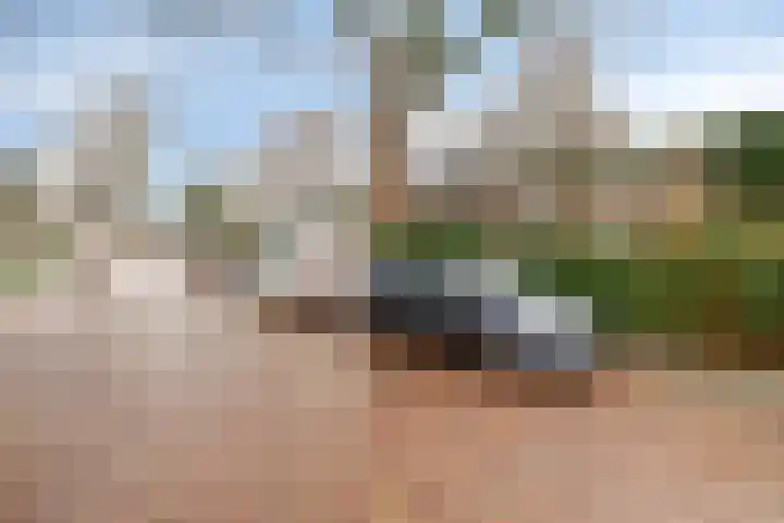 Hovendaal 86 Rotterdam thumbnail 22