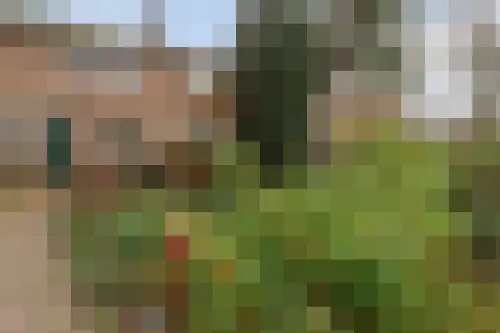 Hovendaal 86 Rotterdam thumbnail 23