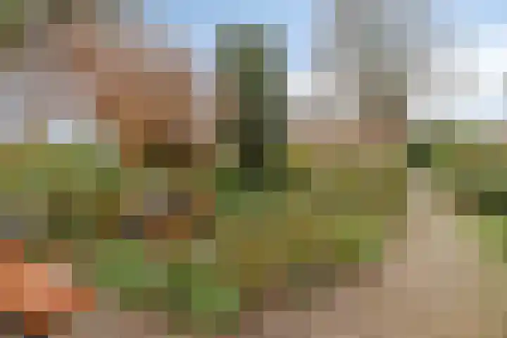 Hovendaal 86 Rotterdam thumbnail 4