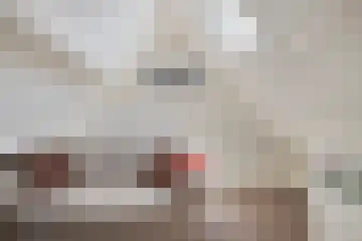 Hovendsedijk 2 b Brakel thumbnail 30
