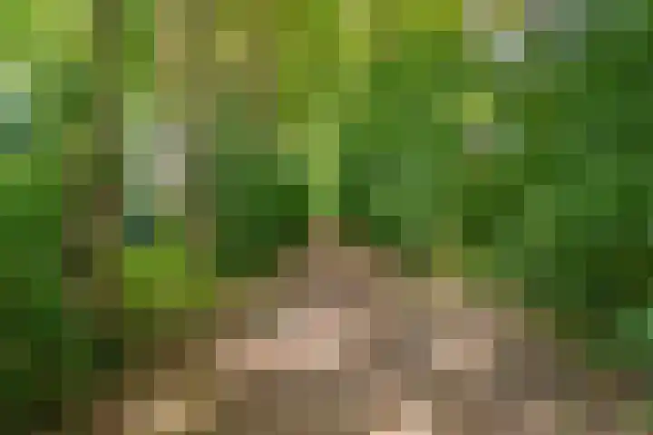 Hovendsedijk 2 b Brakel thumbnail 39