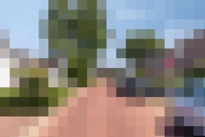 Hovendsedijk 2 b Brakel thumbnail 5