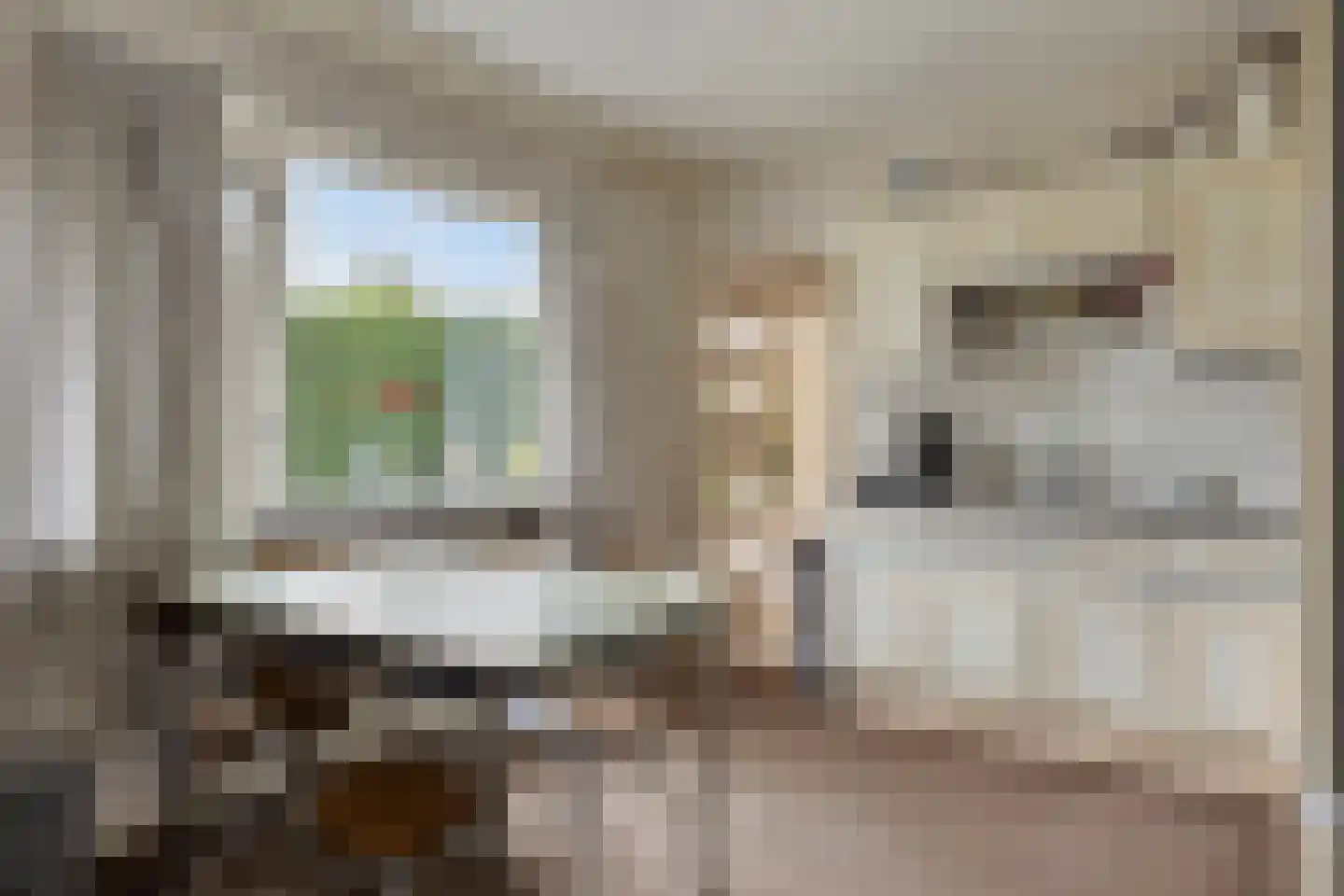 Hovendsedijk 2 Brakel thumbnail 10