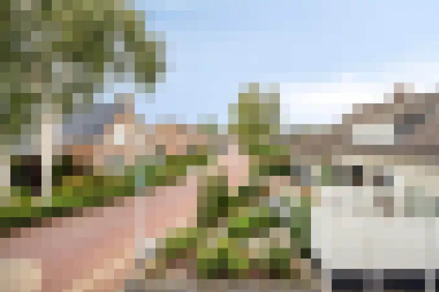 Hovendsedijk 2 Brakel thumbnail 21