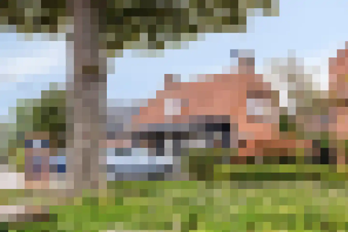 Hovendsedijk 2 Brakel thumbnail 22