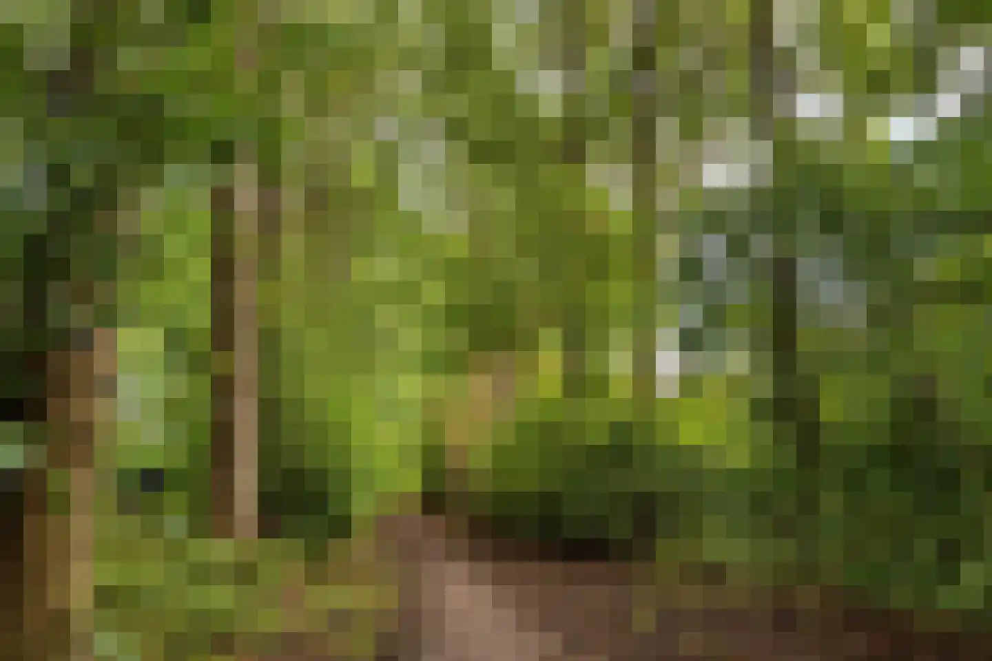 Hovendsedijk 2 Brakel thumbnail 25