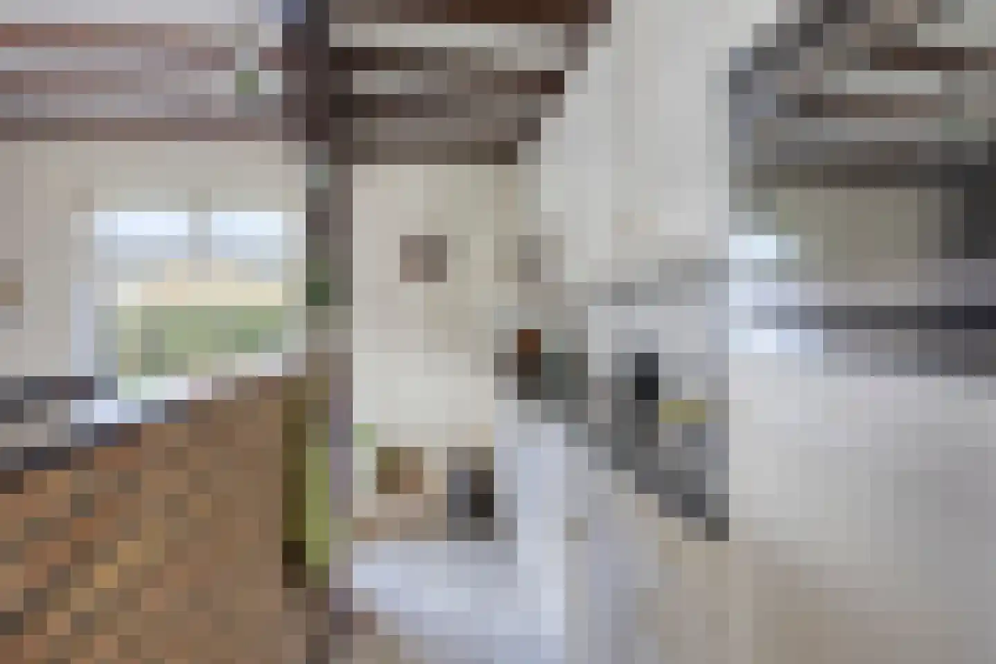 Hovendsedijk 47 Brakel thumbnail 12
