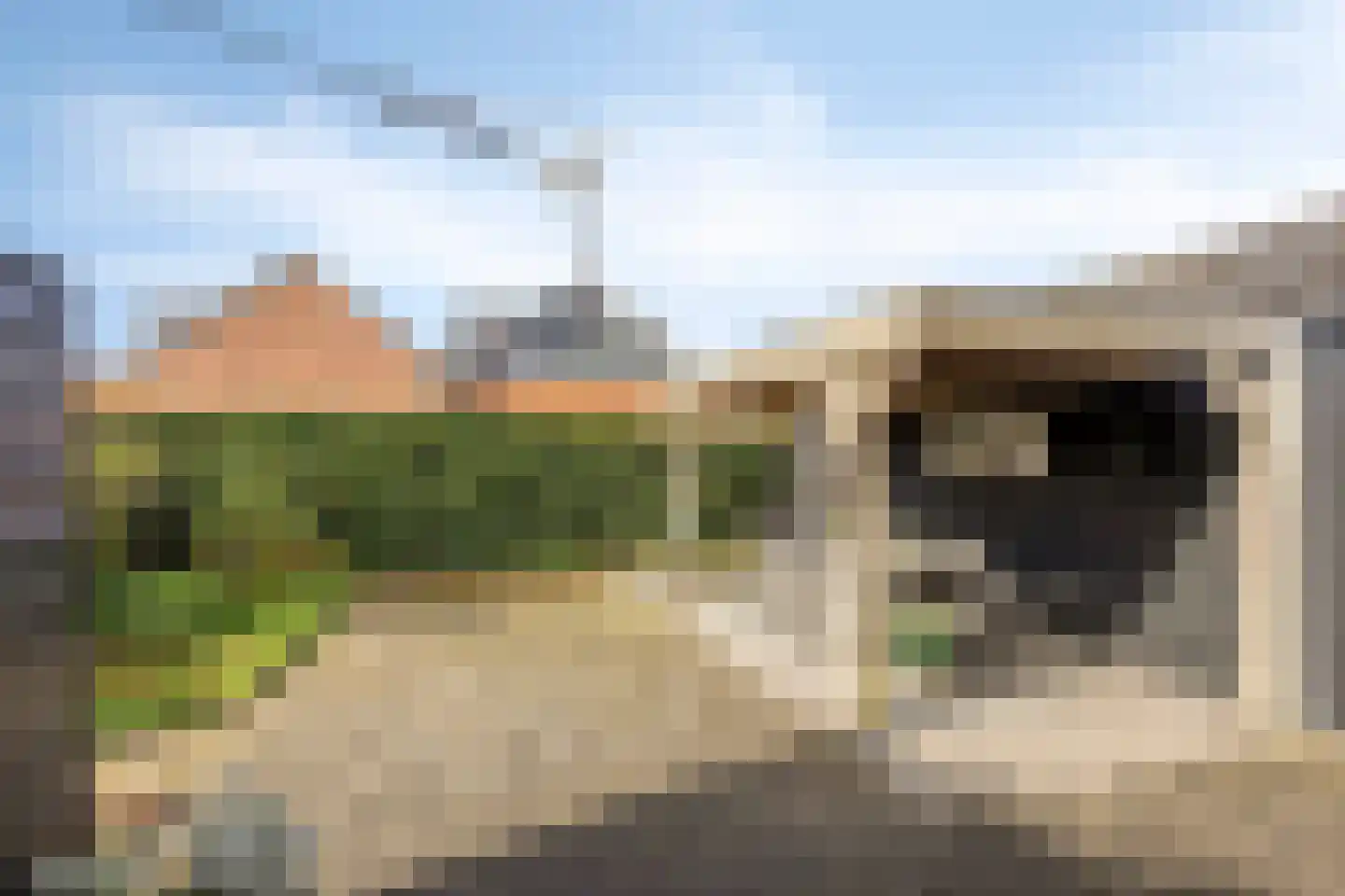 Hovendsedijk 47 Brakel thumbnail 34