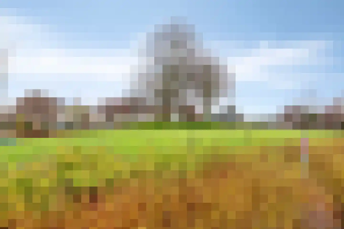 Hovendsedijk 47 Brakel thumbnail 38