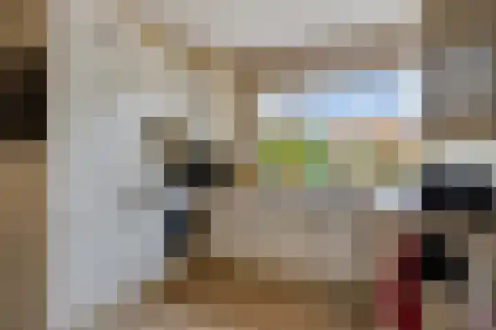 Hovendsedijk 51 Brakel thumbnail 13