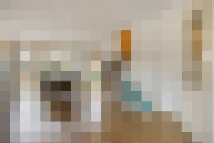 Hovendsedijk 51 Brakel thumbnail 22