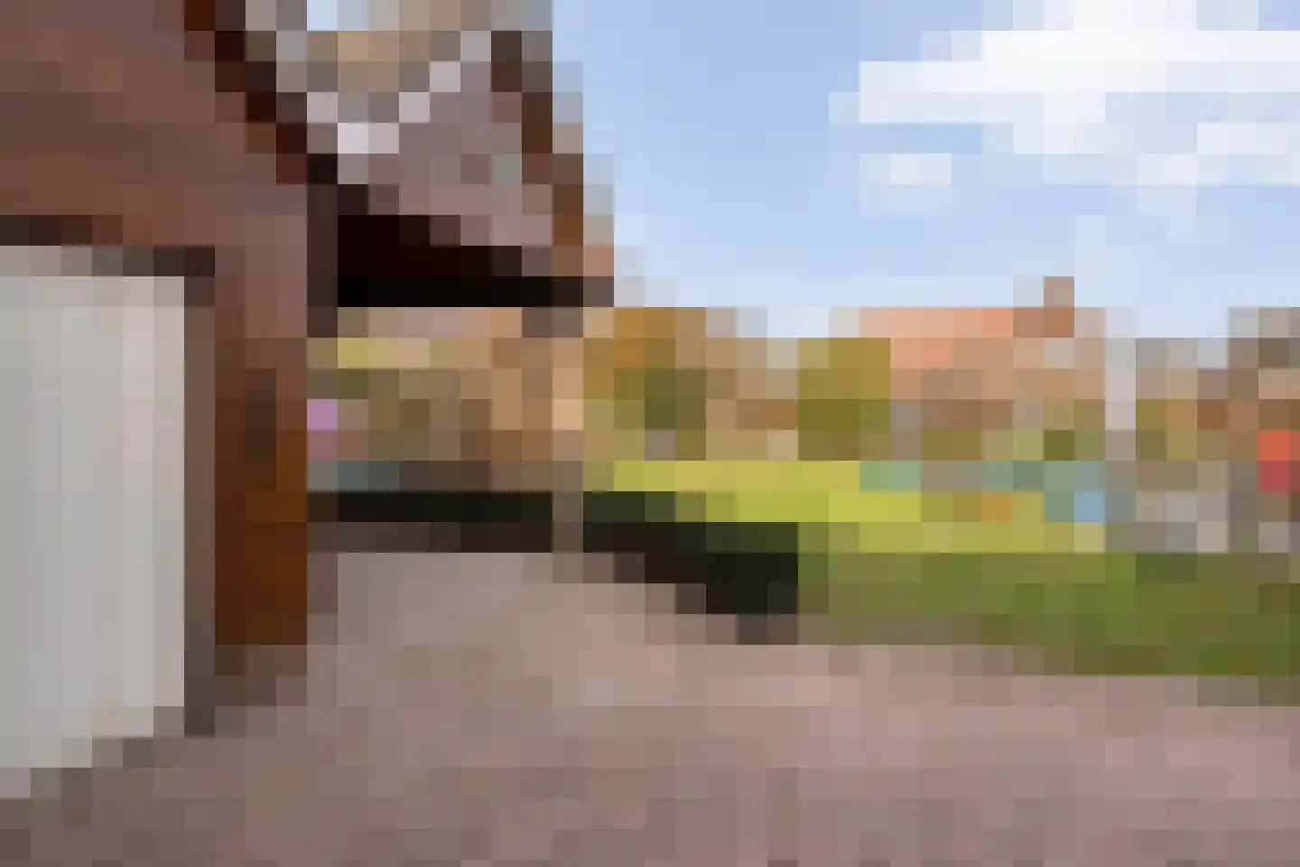 Hovendsedijk 51 Brakel thumbnail 44