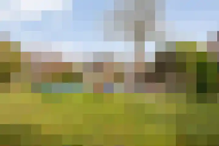 Hovendsedijk 51 Brakel thumbnail 45