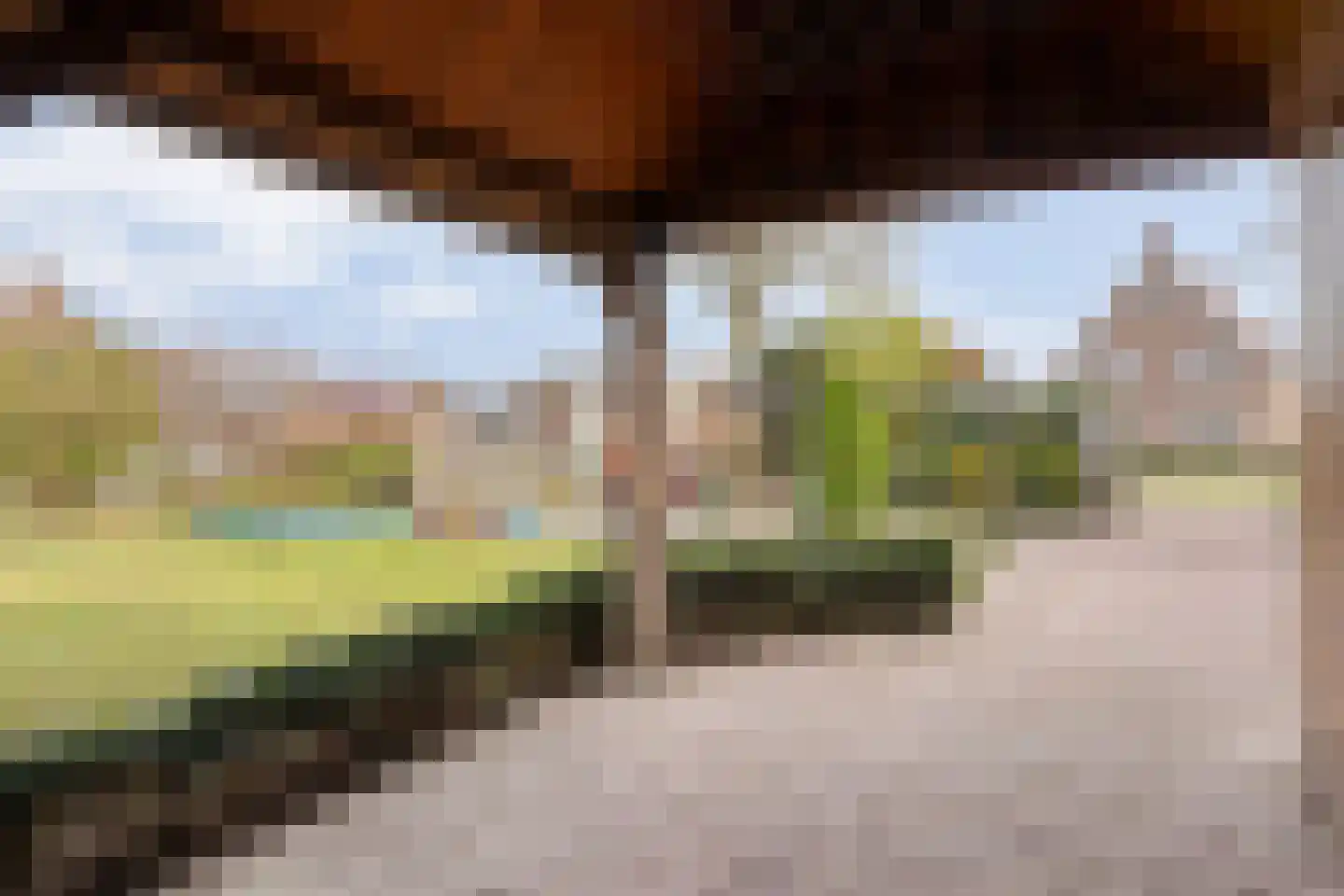 Hovendsedijk 51 Brakel thumbnail 50