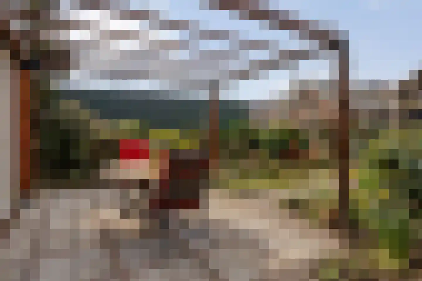 Hovendsedijk 51 Brakel thumbnail 51