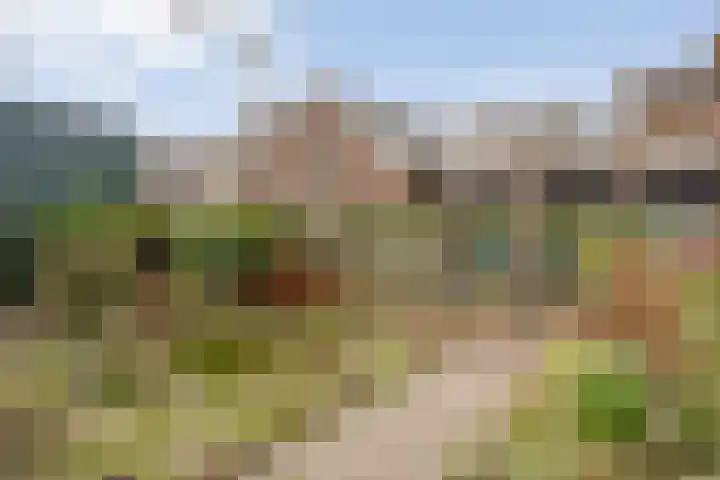 Hovendsedijk 51 Brakel thumbnail 51