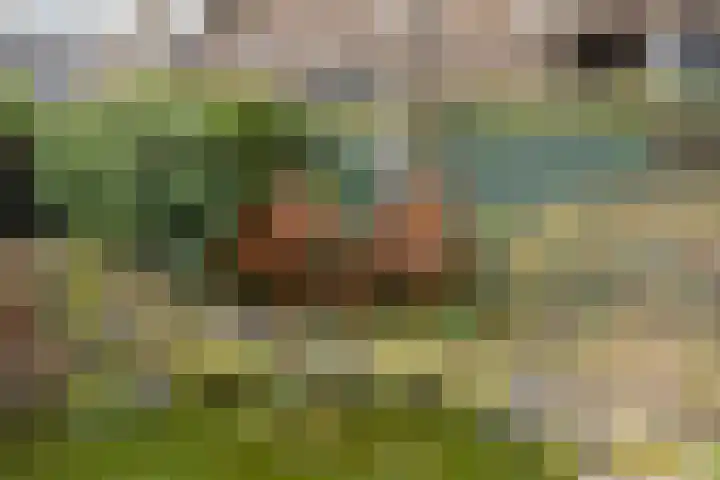 Hovendsedijk 51 Brakel thumbnail 52