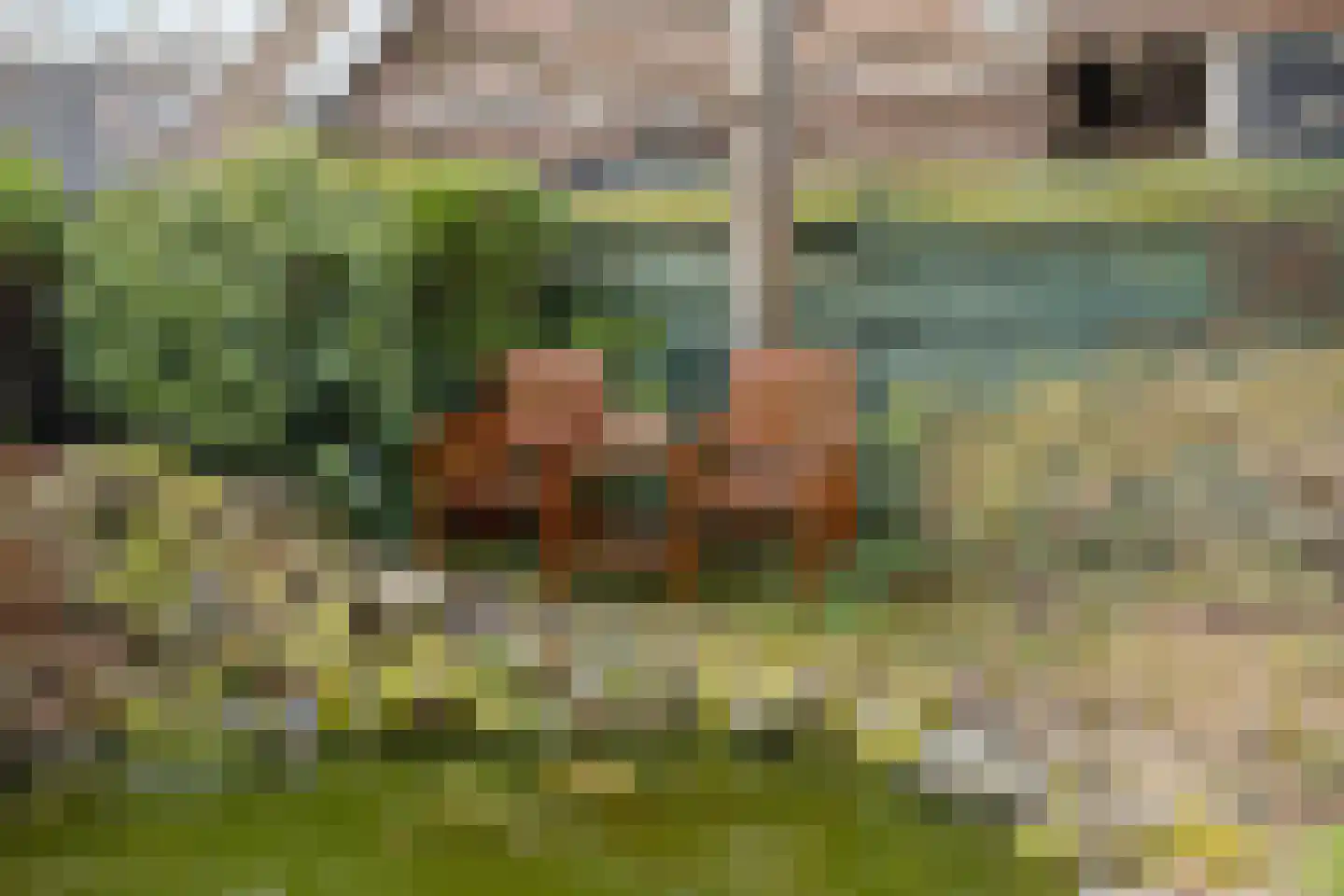 Hovendsedijk 51 Brakel thumbnail 53