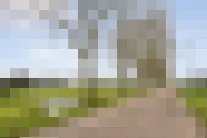 Hovendsedijk 51 Brakel thumbnail 55