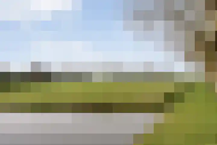 Hovendsedijk 51 Brakel thumbnail 56